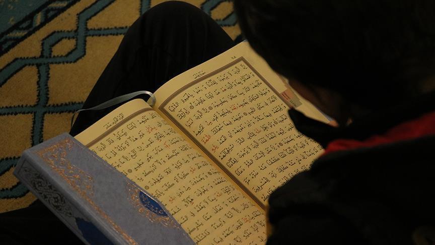 المقالات