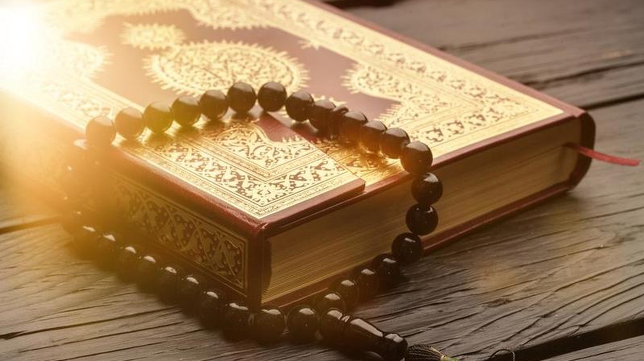 المقالات