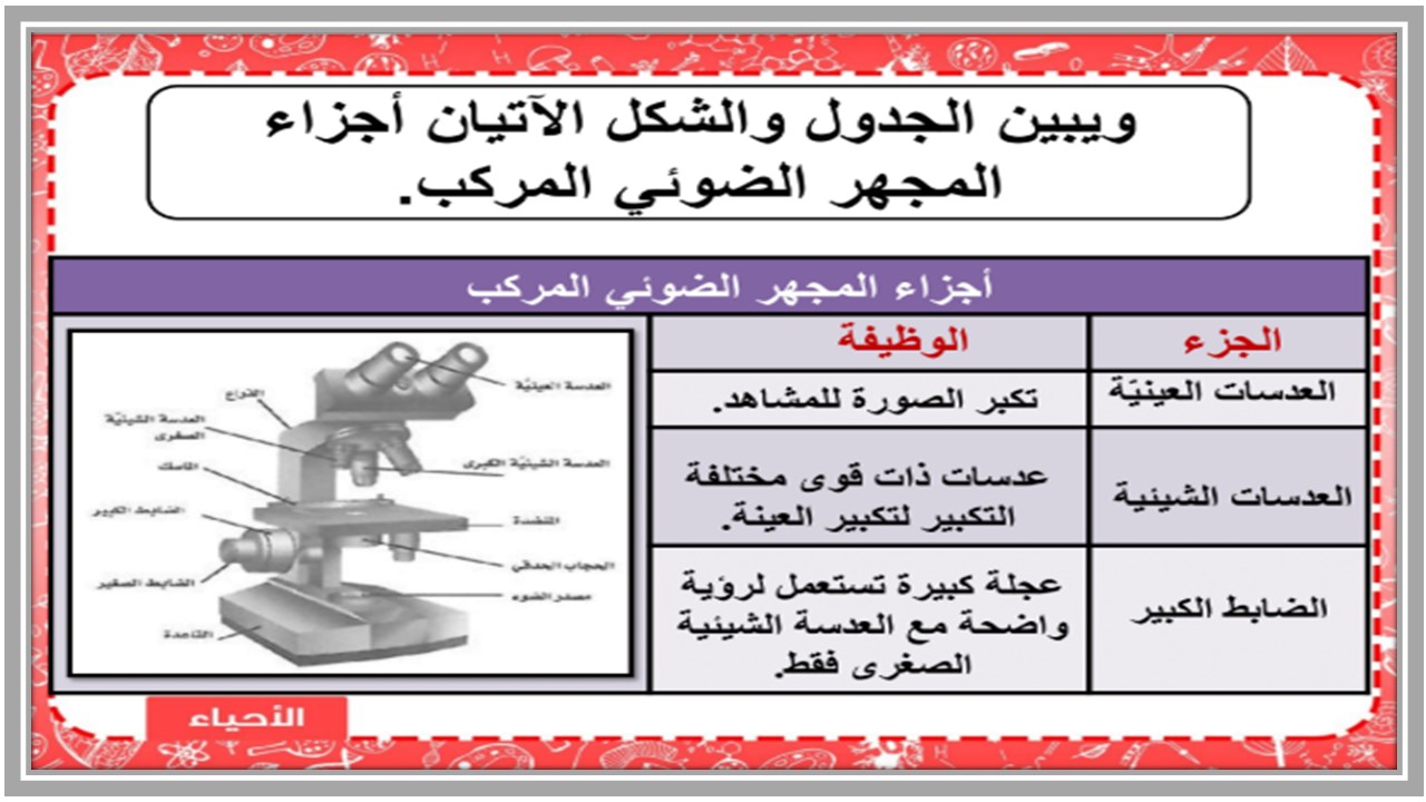 أوراق عمل الاحياء 2 مسارات الفصل الثالث أوراق عمل الاحياء 2 مسارات الفصل الثالث