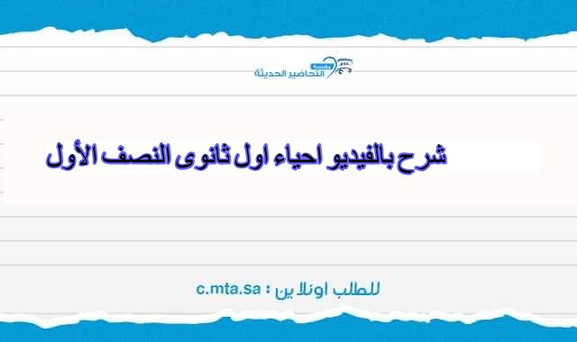 المقالات