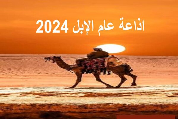 المقالات