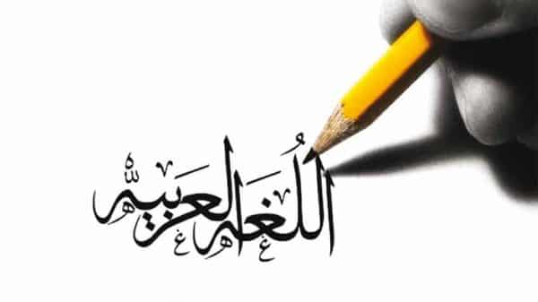 المقالات