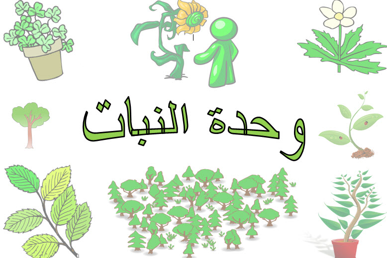 المقالات