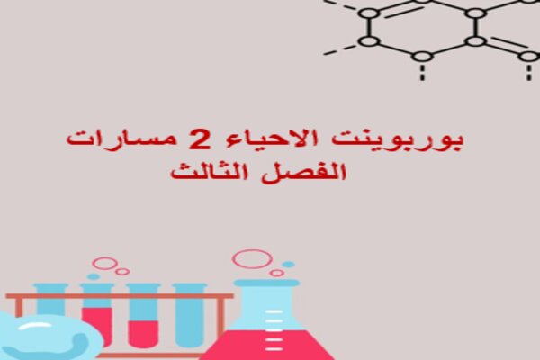 بوربوينت الاحياء 2 مسارات الفصل الثالث
