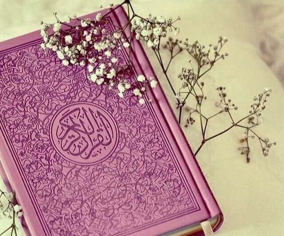المقالات