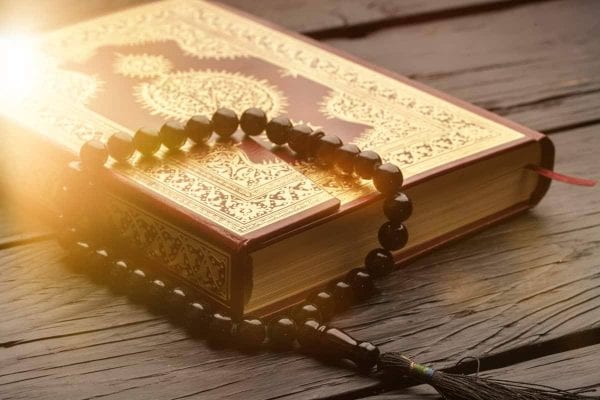 المقالات