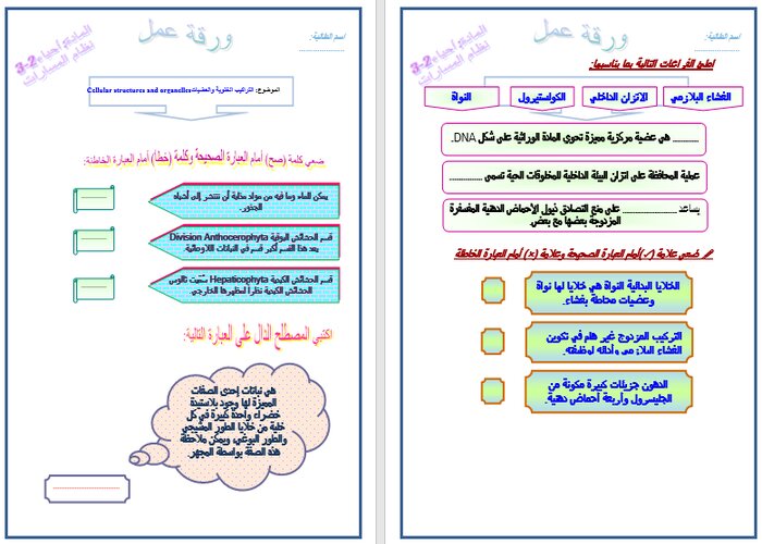 تحضير منصة مدرستي لمادة الاحياء 2 مسارات الفصل الثالث تحضير منصة مدرستي لمادة الاحياء 2 مسارات الفصل الثالث
