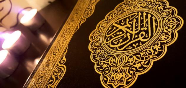 المقالات