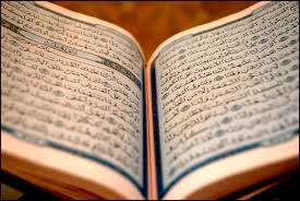 المقالات