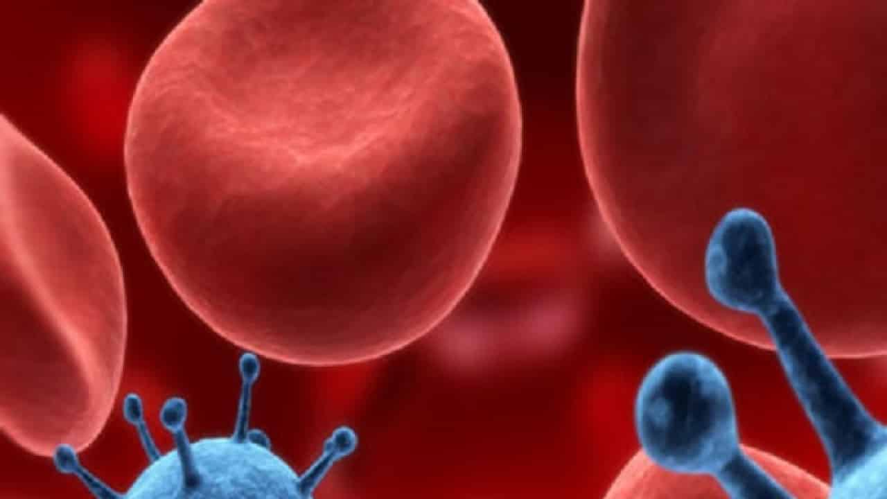 المقالات