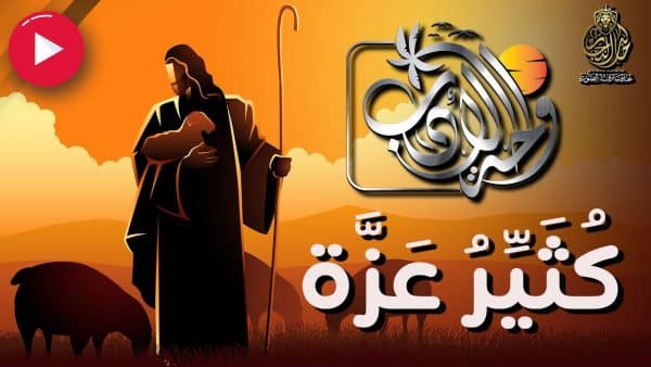 المقالات