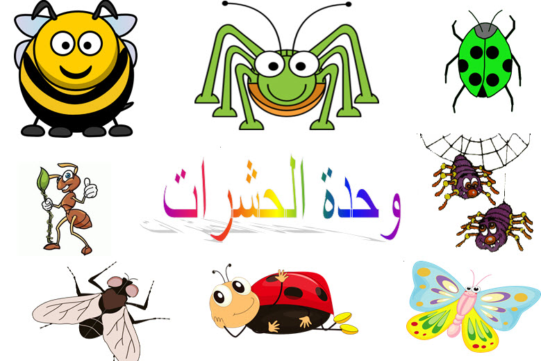 المقالات