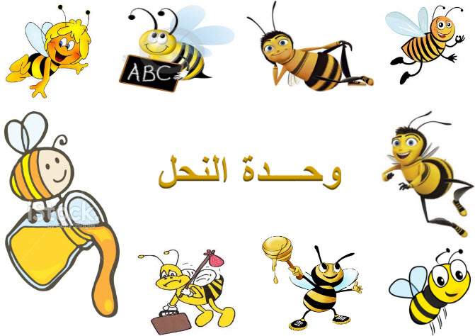 المقالات