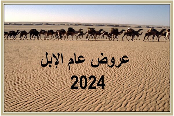 المقالات