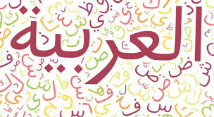 المقالات