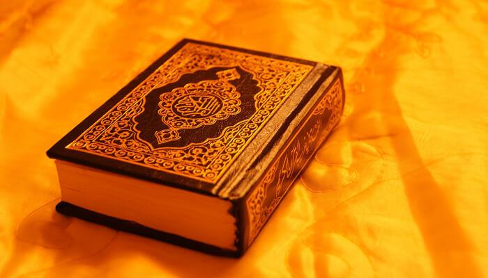 المقالات