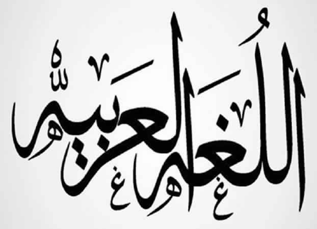 المقالات