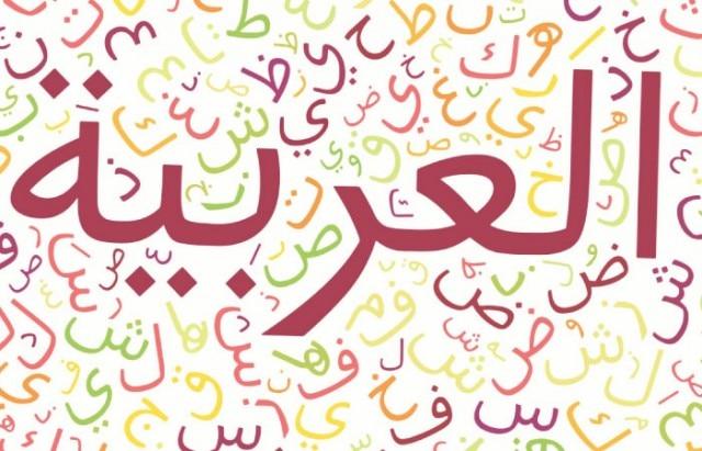 المقالات