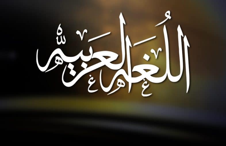 المقالات