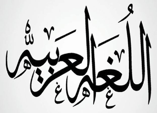 المقالات