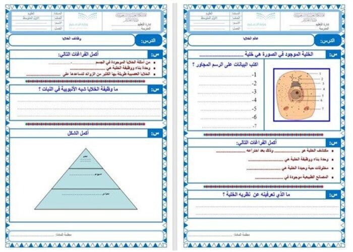 مفردات الدرس مادة علوم الفصل الثالث
