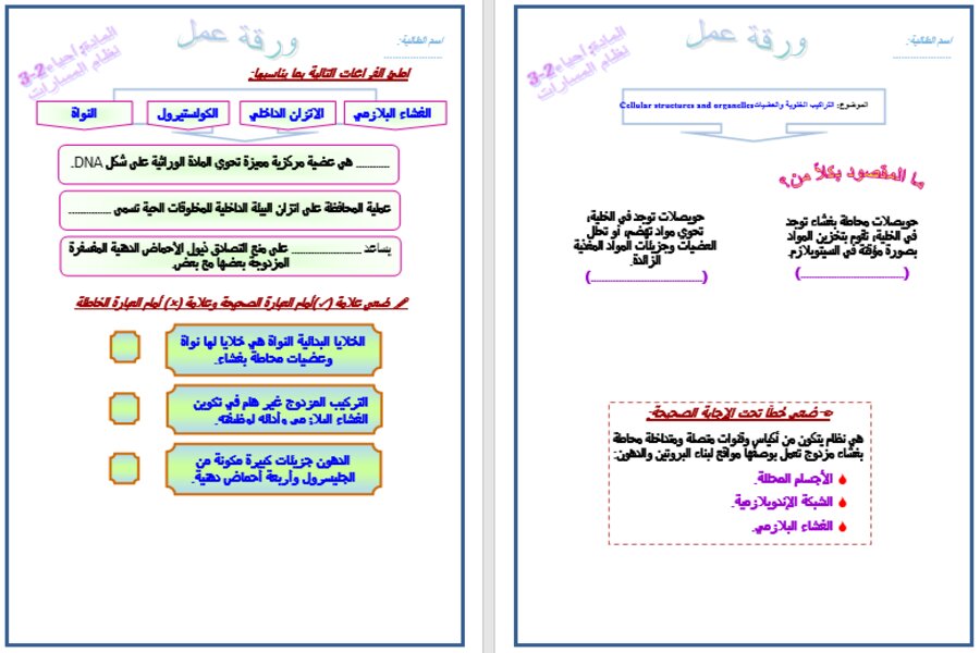 ملخص الاحياء 2 مسارات الفصل الثالث