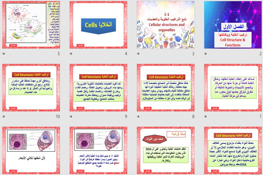 ملخص الاحياء 2 مسارات الفصل الثالث