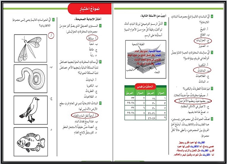 خطة التعليم الأسبوعية علوم