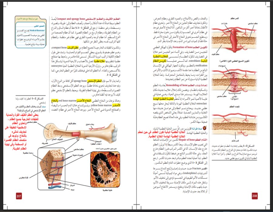 خطة التعلم الأسبوعية لأحياء 2 ثاني ثانوي مسارات الترم الثاني 