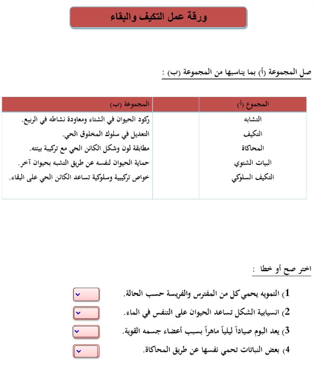 اوراق عمل الكترونيه مع الباركود