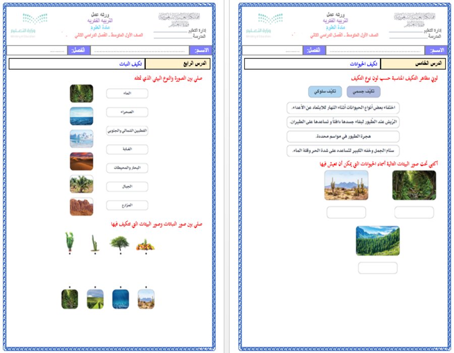 خطة التعليم الأسبوعية العلوم أول متوسط التربية الفكرية 